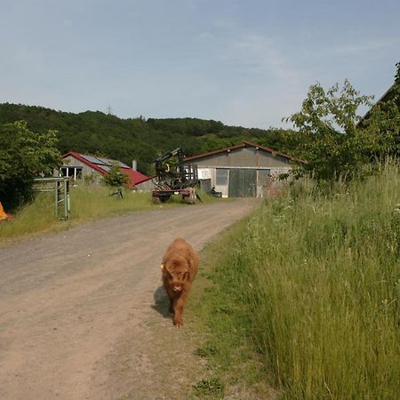 דירות Schalkenbach Rech Hof Urlaub Auf Dem Bauernhof מראה חיצוני תמונה