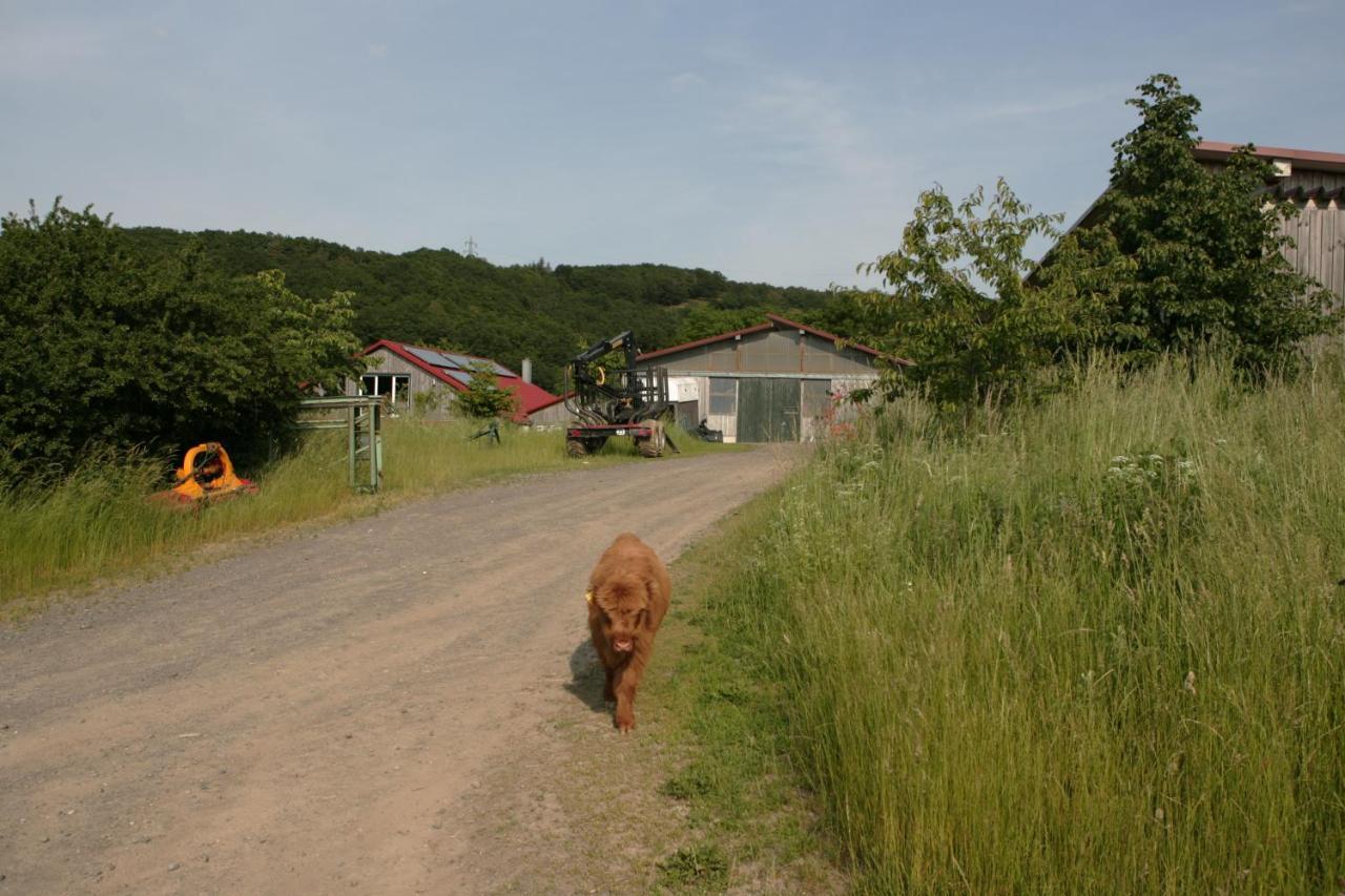 דירות Schalkenbach Rech Hof Urlaub Auf Dem Bauernhof מראה חיצוני תמונה