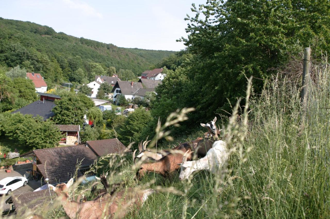 דירות Schalkenbach Rech Hof Urlaub Auf Dem Bauernhof מראה חיצוני תמונה
